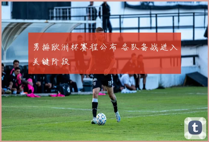 男排欧洲杯赛程公布 各队备战进入关键阶段