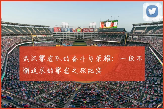 武汉攀岩队的奋斗与荣耀：一段不懈追求的攀岩之旅纪实