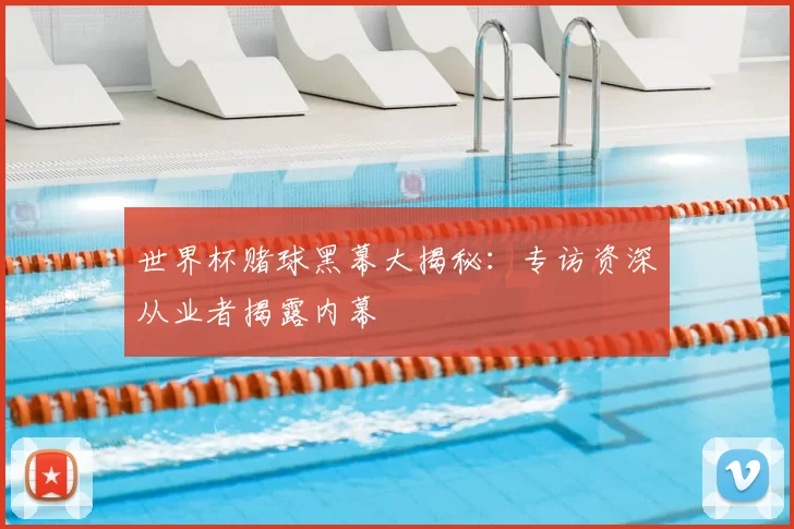 世界杯赌球黑幕大揭秘：专访资深从业者揭露内幕