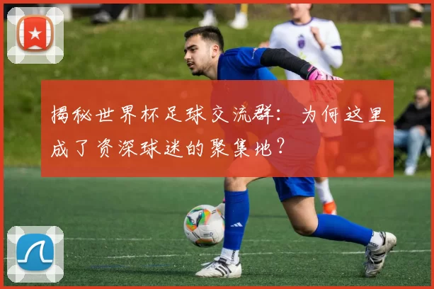 揭秘世界杯足球交流群：为何这里成了资深球迷的聚集地？