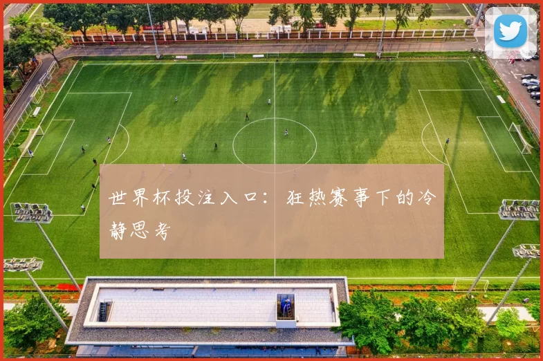 世界杯投注入口：狂热赛事下的冷静思考