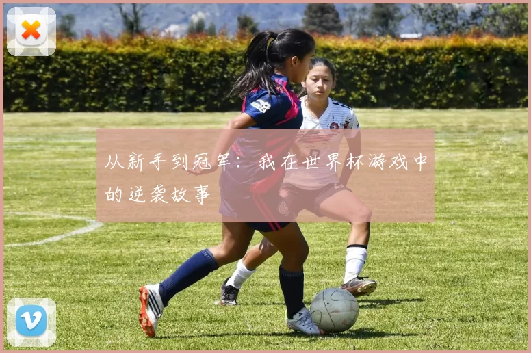 从新手到冠军：我在世界杯游戏中的逆袭故事