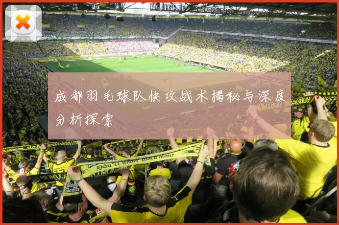 成都羽毛球队快攻战术揭秘与深度分析探索